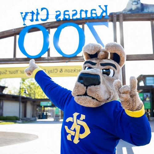 KC Roo looks happy to be standing in front of the sign for the Kansas City Zoo & 在动物园日的Roos水族馆. He makes the RooUp hand sign with one of is paws.